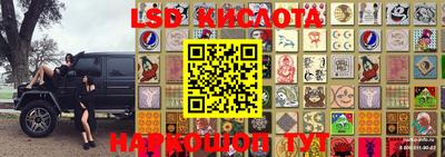 гашик Аргун