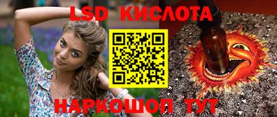 гашик Аргун