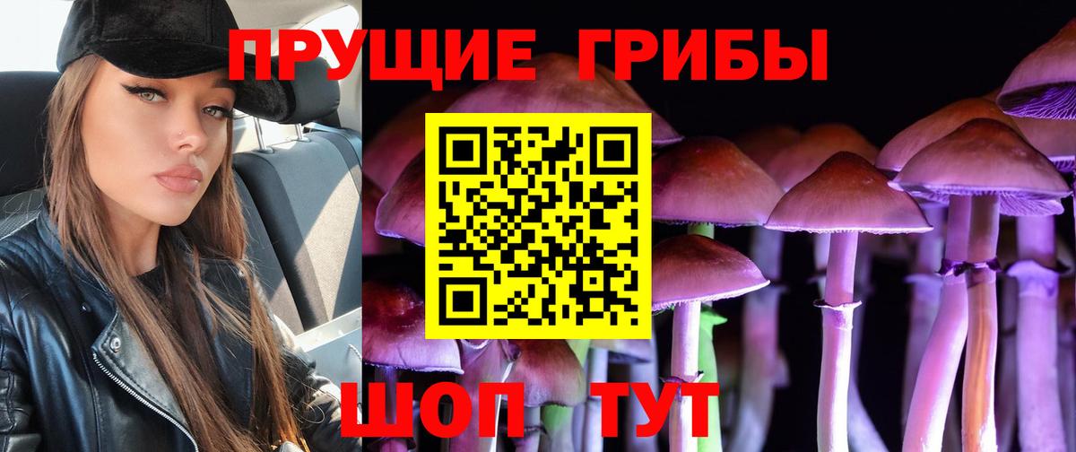 Муравленко  Галлюциногенные грибы прущие грибы  Галлюциногенные грибы мицелий  Вход с VPN 