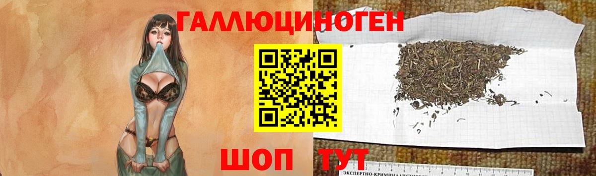 Псилоцибиновые грибы мухоморы Муравленко