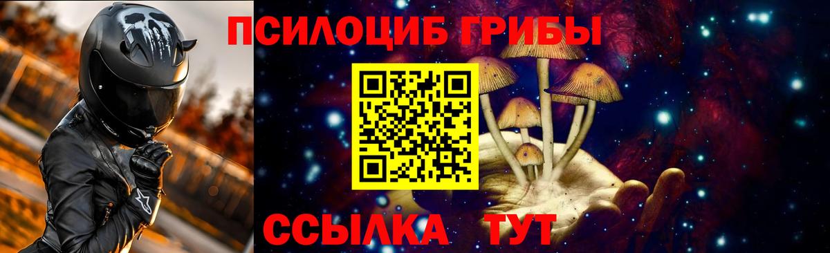 Псилоцибиновые грибы GOLDEN TEACHER  Псилоцибиновые грибы мицелий  Муравленко 